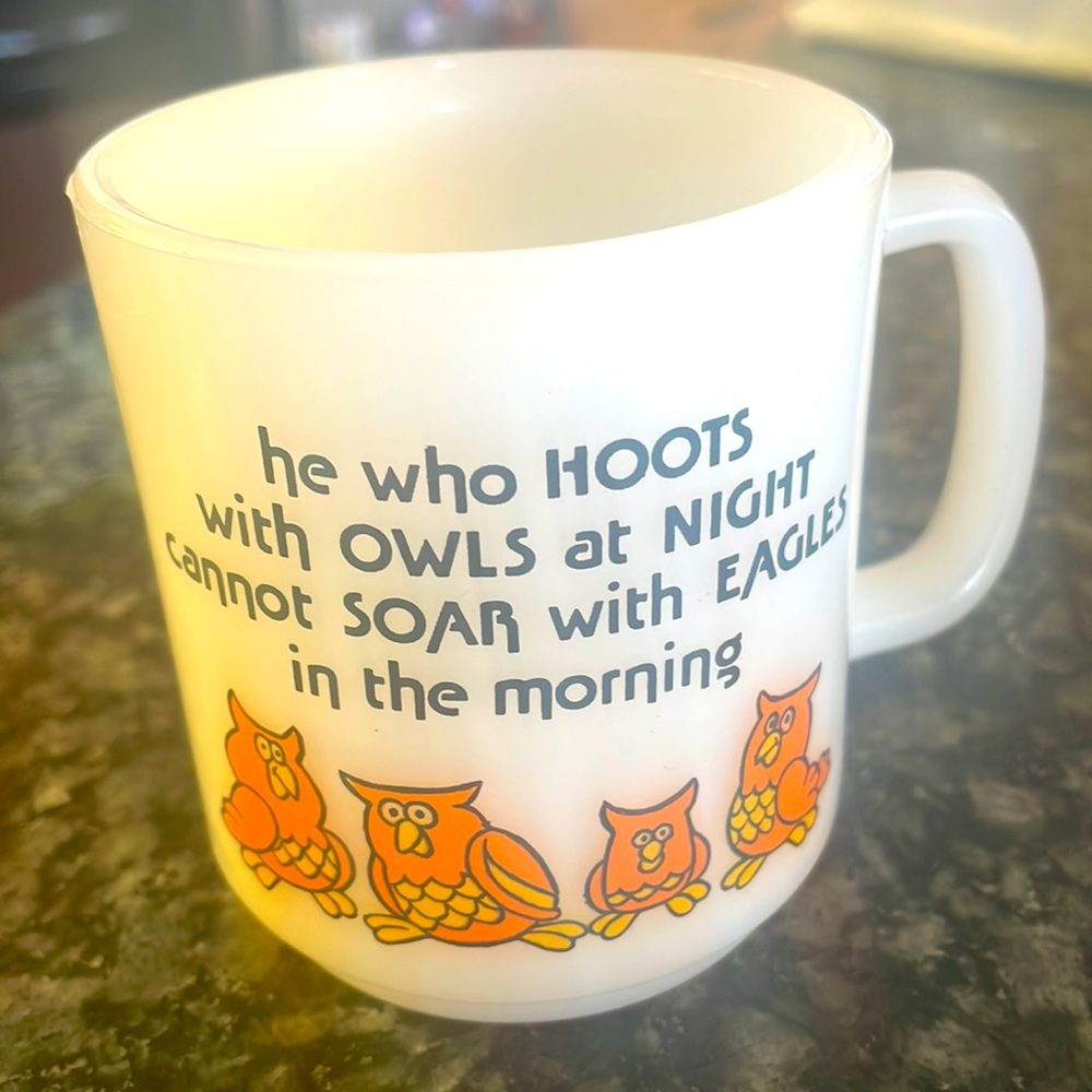 Vintage‎ 1981 Milk Glass Mug Orange Owls Paula Co. Glasbake